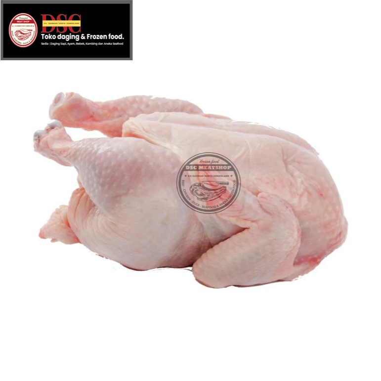 

Ayam Utuh 1 Ekor 1kg