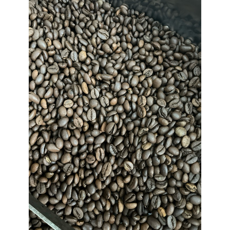 

link co robusta 100/gram