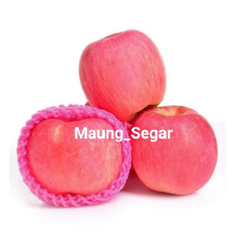 

BUAH APPEL FUJI IMPORT 1 KILO, BUAH APPEL FUJI SEGAR DAN MANIS