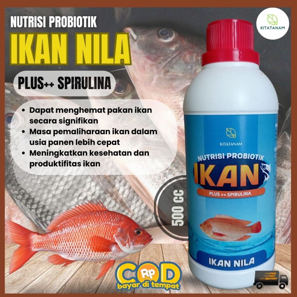 Vitamin Ikan Nila, Nutrisi Probiotik Ikan Nila, Kitatanam