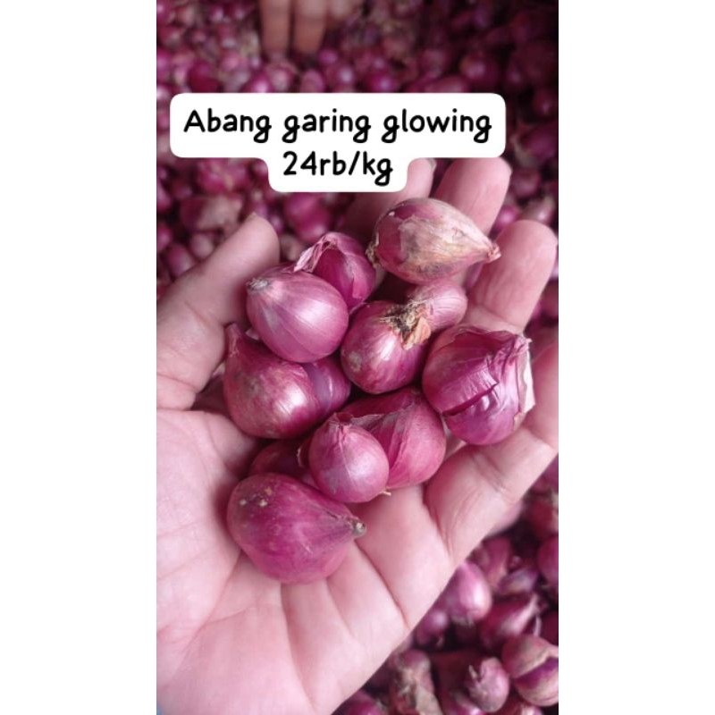 

Abang Garing Glowing 24rb/kg