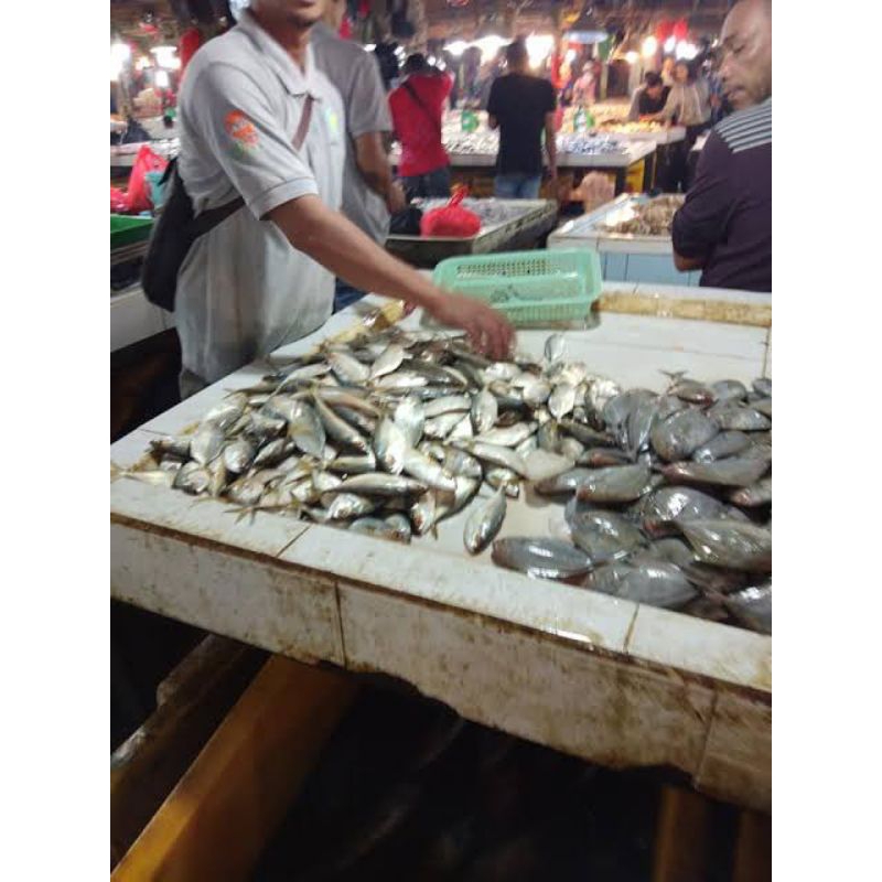 

Ikan fresh pasar Flamboyan/ ikan hidup pasar Flamboyan/ikan pasar Flamboyan segar