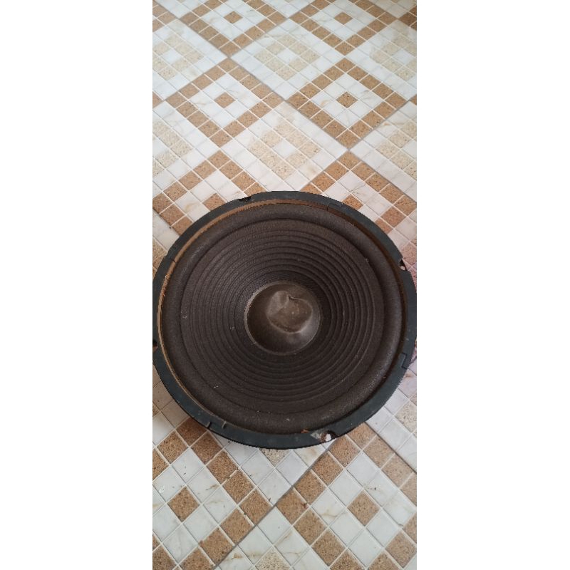 canon c1018 w/speaker 10inch /speaker canon wofer/canon 10in 250watt/salon 10inch/10in /spiker 10in.