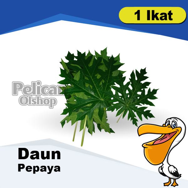 

Daun Pepaya Pahit 1 Ikat Untuk Buntil Lalapan Rebus Seupan Obat Herbal