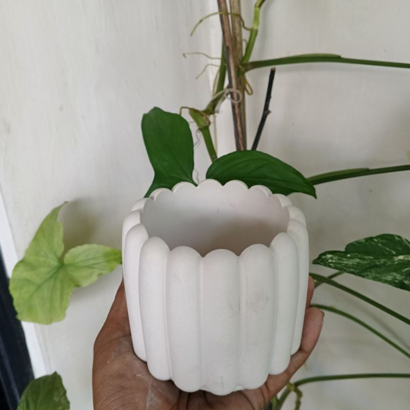 Pot Tanaman Besar