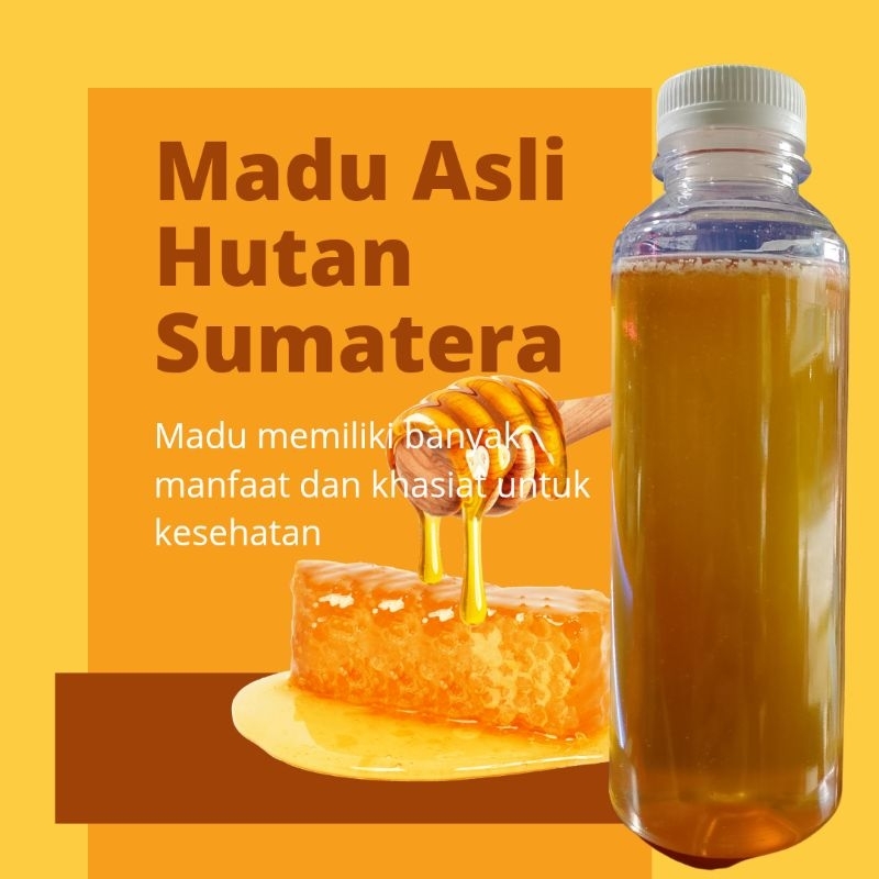 

Madu Asli Hutan Sumatra
