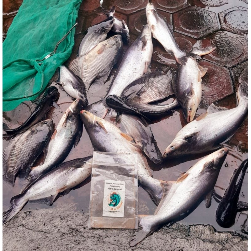 Umpan Pelet Goreng // Sangrai ELOS /Umpan Patin/Umpan Ikan Mas/Umpan Nila dll