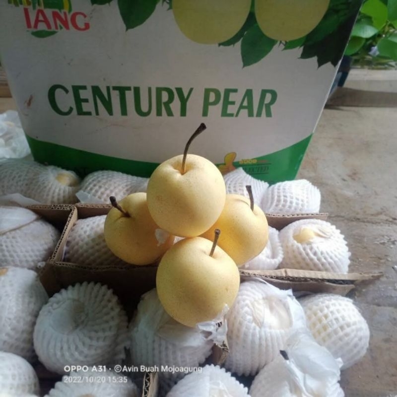 

BUAH SWEET PEAR MADU 500gr