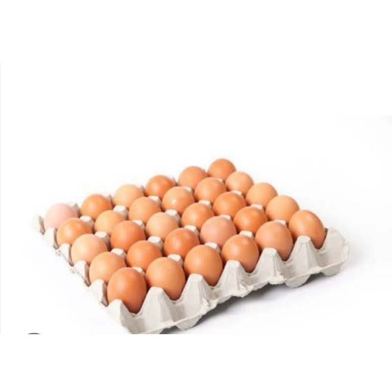 

GRA Telur Ayam Negeri 1 Kg