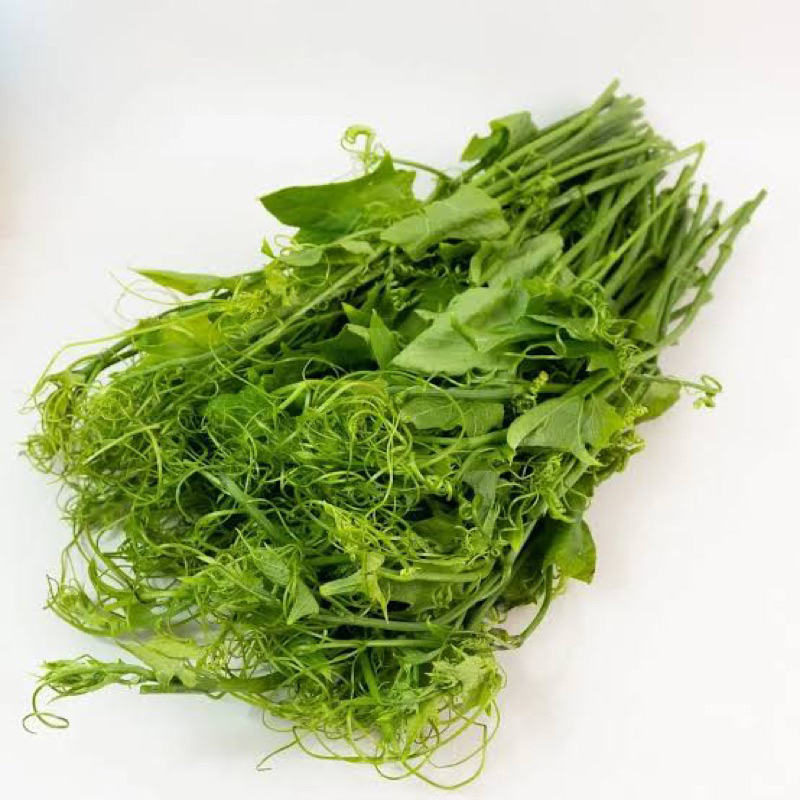 

sayur pucuk waluh 1 ikat