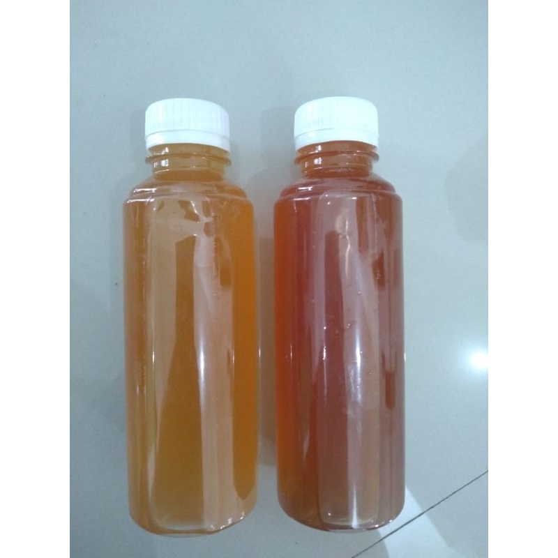 

kombucha original 250ml