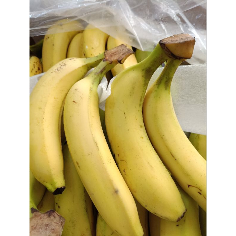 

Pisang Sunpride 1kg (gandeng 2)