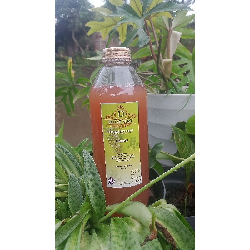 

sari Pati Bidara alami