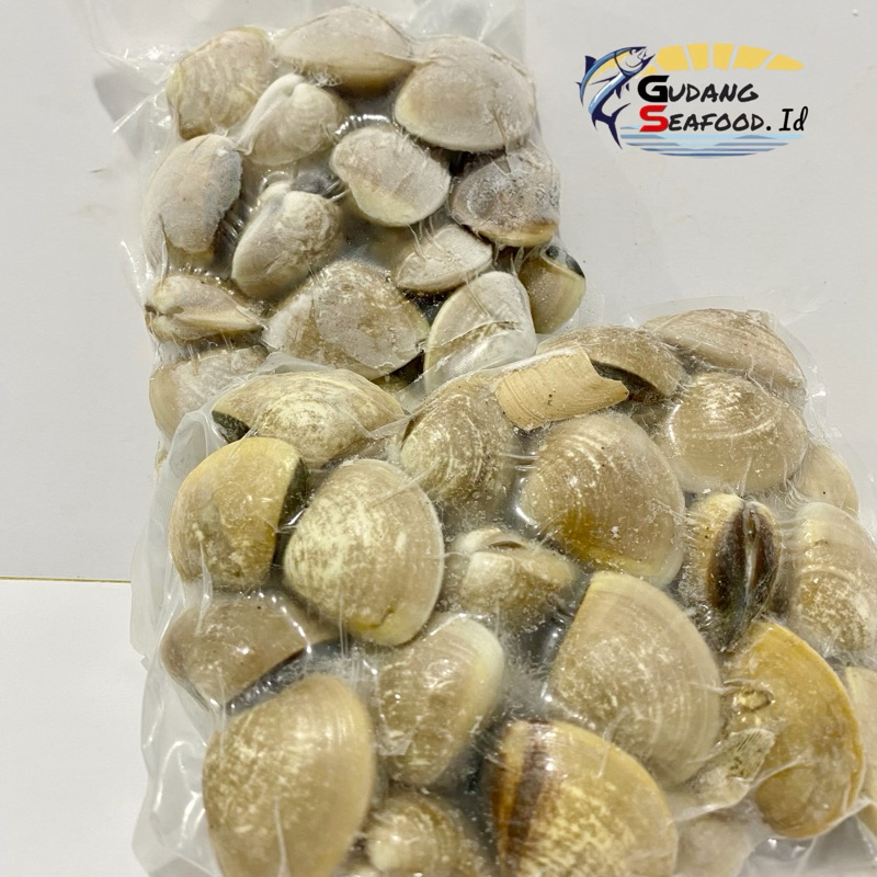 

KEPAH PUTIH 25-30 KEPING/KG