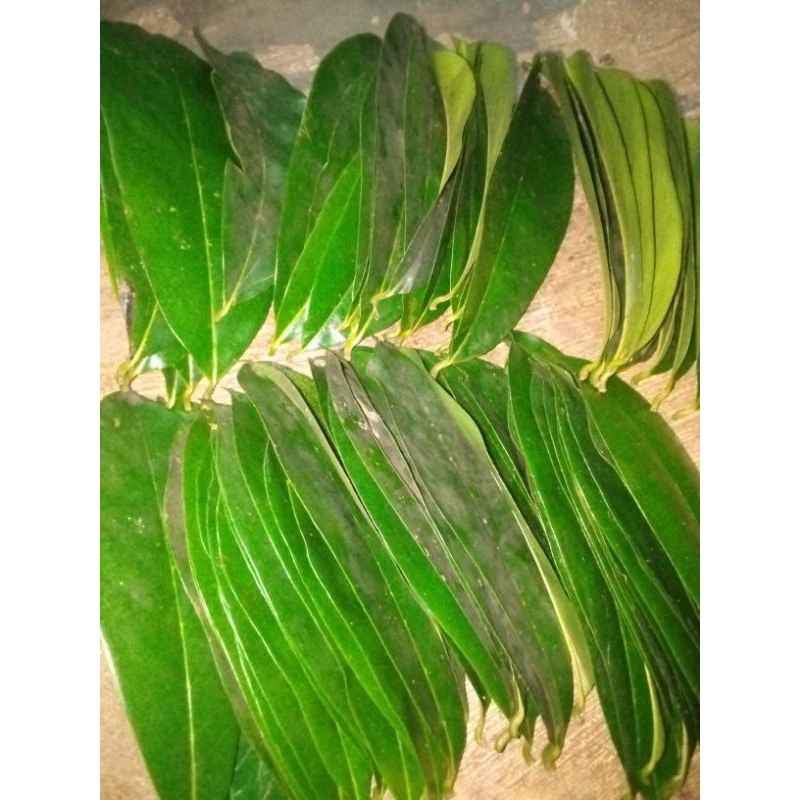 

daun herbal sirsak