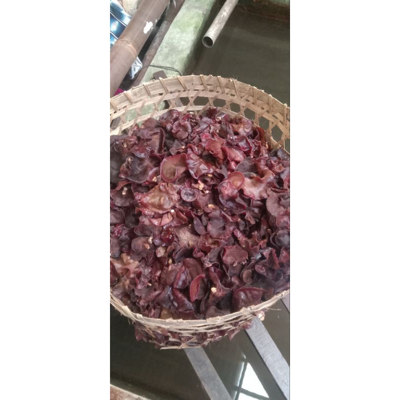 

jamur kuping kering 200 g