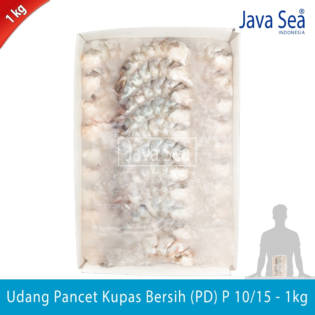 

Udang Pancet Kupas Bersih PD P 10/15 pack 1kg Java Sea