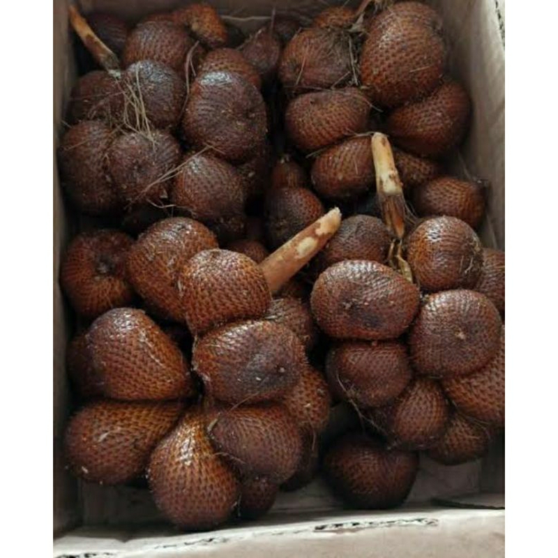 

buah salak pondok 500 gr