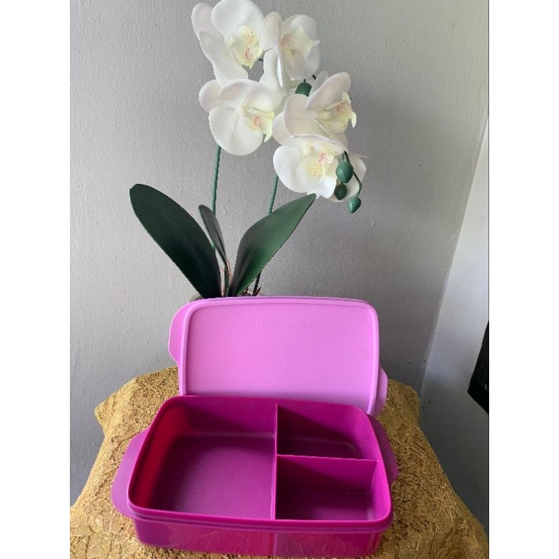 TUPPERWARE ORI 100% DIVIDE LUNCH BOX