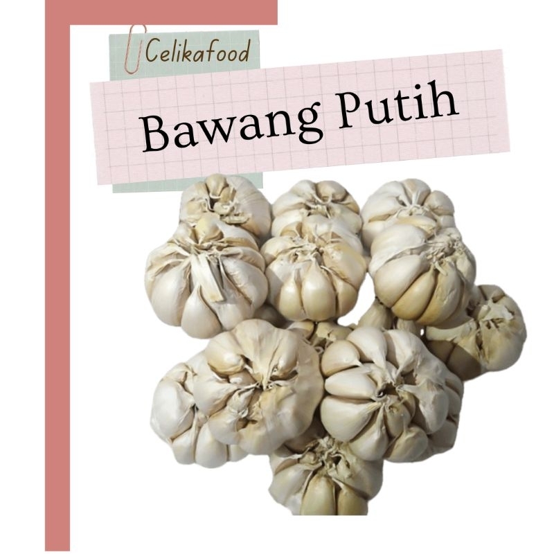 

Bawang Putih 500gr 1kg Garlic Rempah Sayur Fresh Bumbu Masakan Makanan