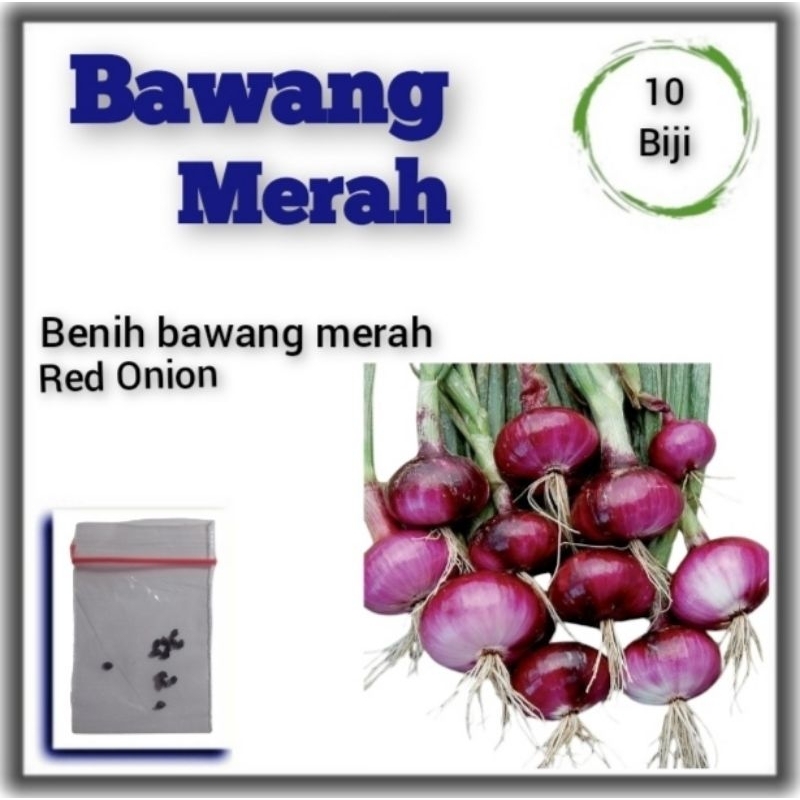 Benih Bawang Merah Lokananta Cap Panah Merah Bibit Tanaman Sayuran