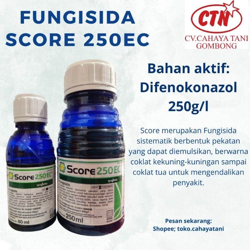 Obat Padi Score