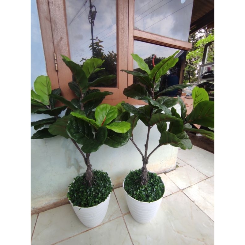 Pohon Ketapang Artificial Premium 90 Cm Daun Ketapang Plastik Pot Pohon Artificial