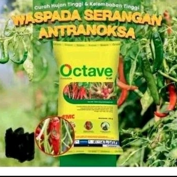 Fungisida SISTEMIK OCTAVE 50 WP untuk mengendalikan penyakit pada tanaman bawang merah, cabai, mangg
