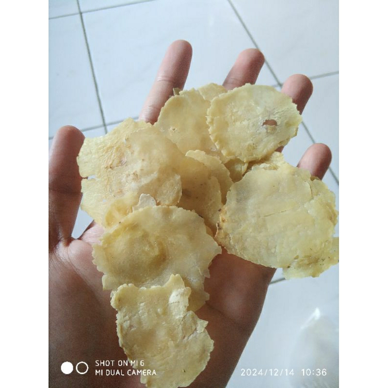 

EMPING MELINJO ASLI LIMPUNG || SP (BIJI 1 /DUA) || GRADE B || 1kg