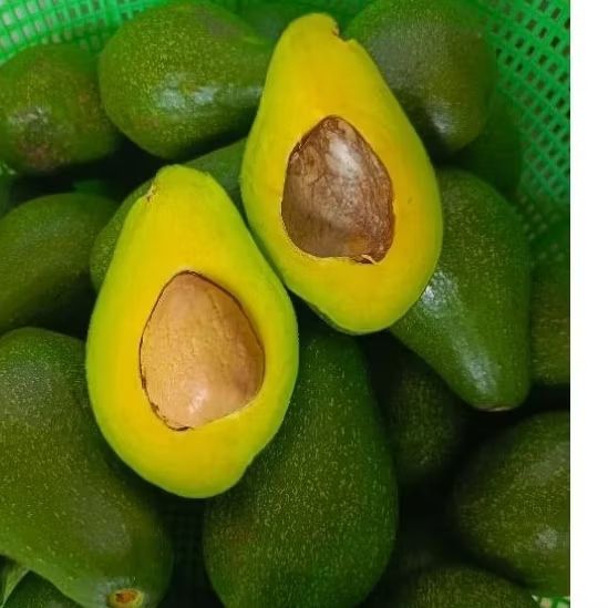 

Alpukat mentega 1kg isi 5 buah