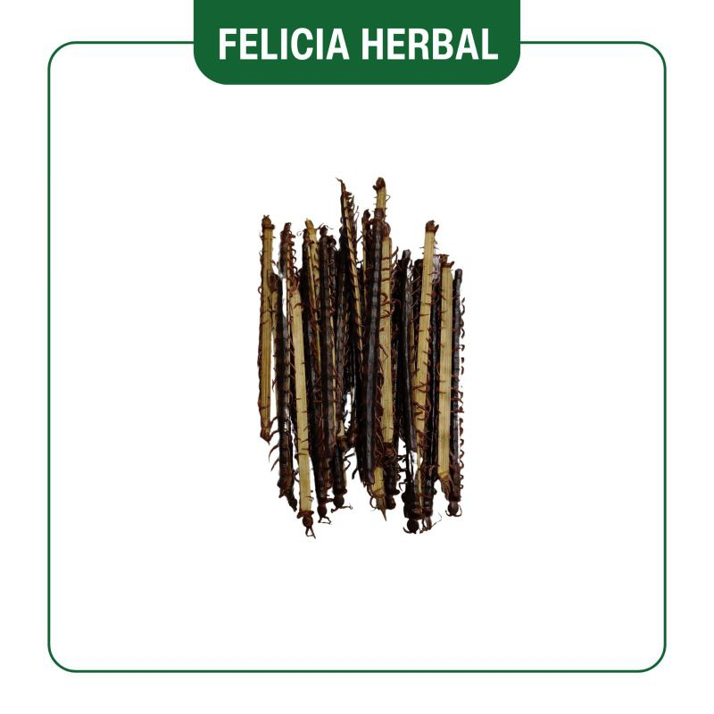 

Kelabang Kering (Kecil)/ 百足 (Kecil)/ Harga Per Batang