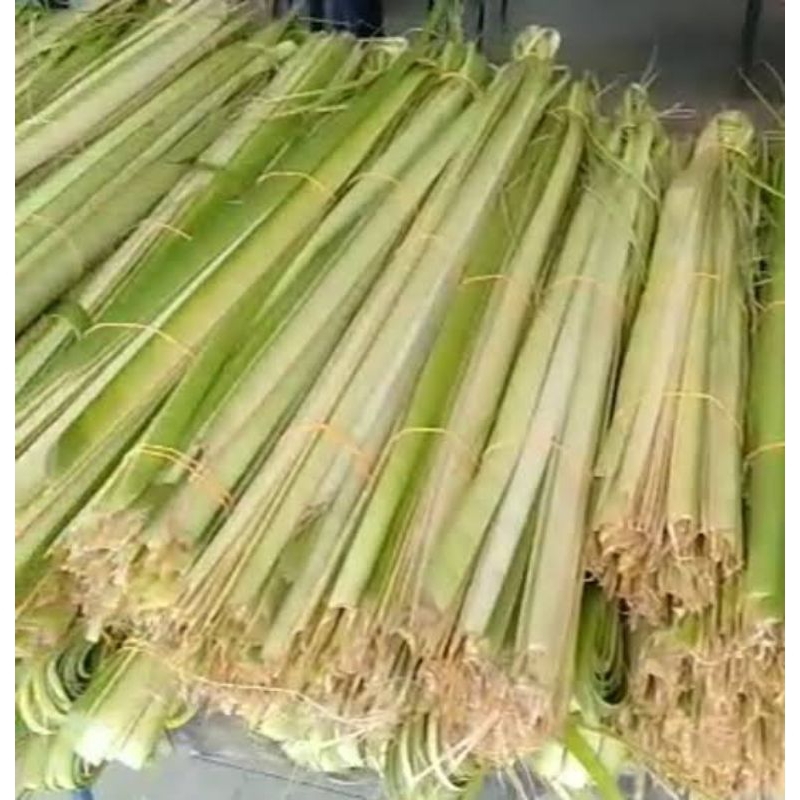 

JANUR SUPER BUAT BIKIN KETUPAT