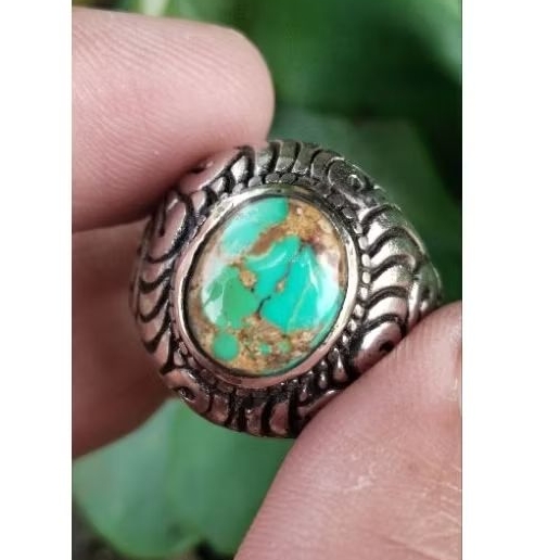 pirus persia urat emas