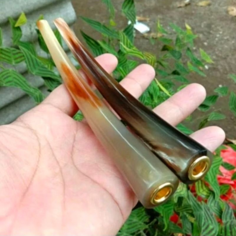 ONCE PIPA TANDUK KERBAU SUPER PANJANG BULE