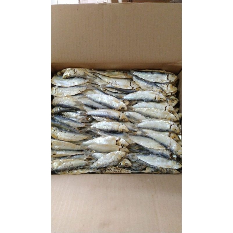

PROMO IKAN ASIN TANJAN REBUS SUPER TERMURAH | 500 g | 1 kg