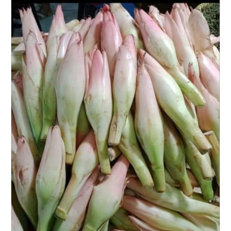 

Kecombrang / Rias Segar