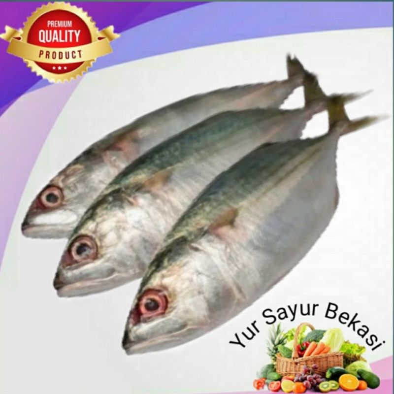 

Ikan Kembung -+ 500gr