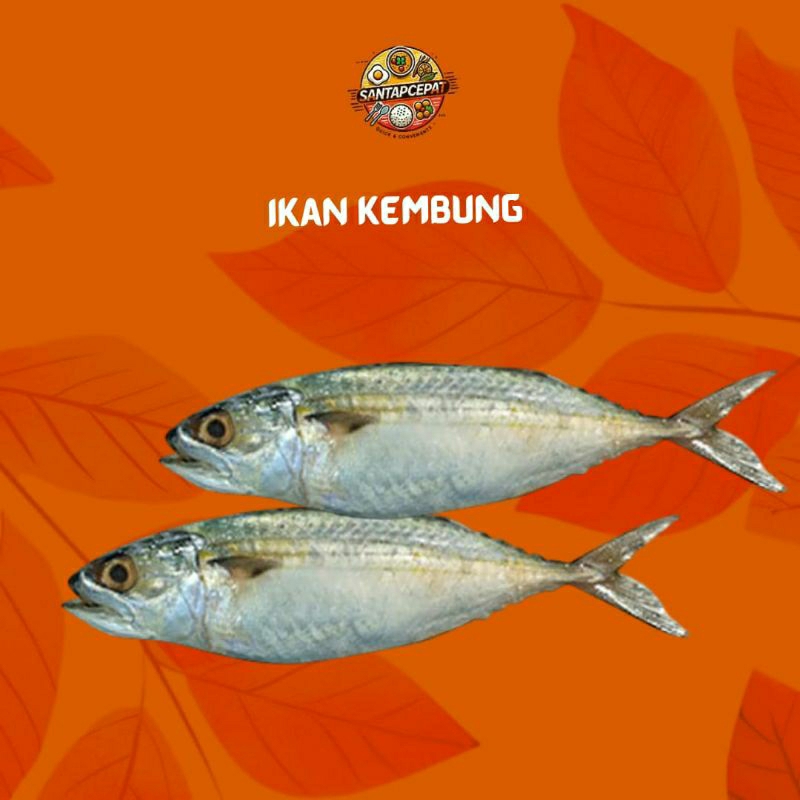 

Ikan Kembung Segar – Pilihan Lezat untuk Masakan Sehari-hari