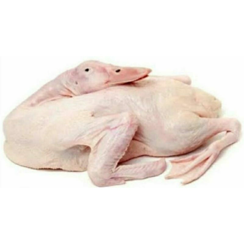 

Daging Entok / Mèntok fresh Semarang