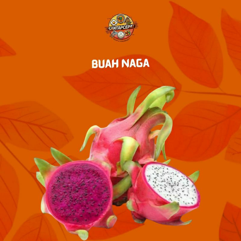 

Buah Naga Segar – Manis, Segar, dan Penuh Nutrisi