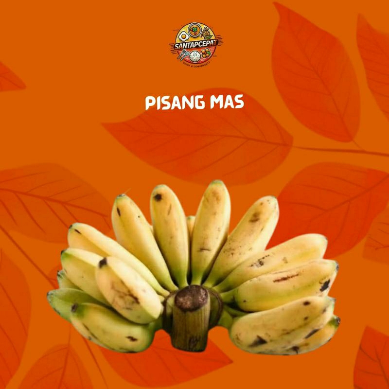 

Pisang Mas – Manis, Lezat, dan Penuh Nutrisi