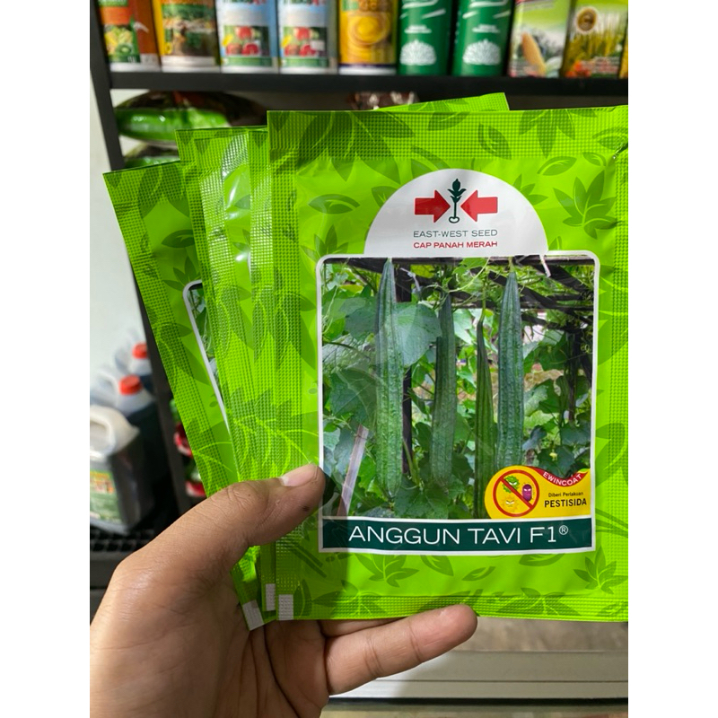 BENIH GAMBAS / OYONG ANGGUN TAVI F1