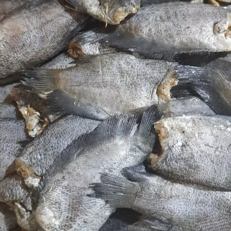 

Ikan Asin sepat