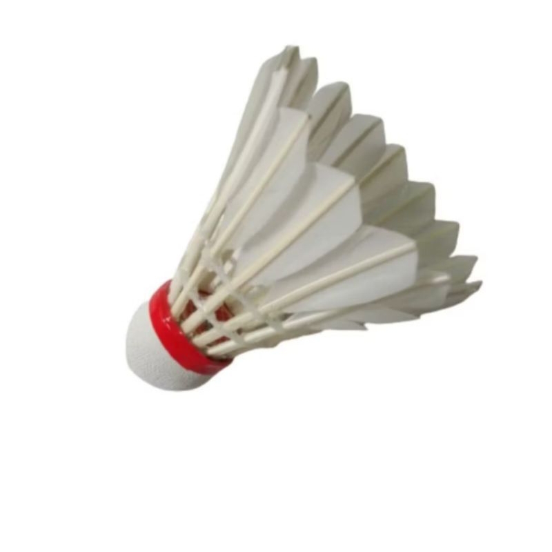 bola badminton bulu tangkis