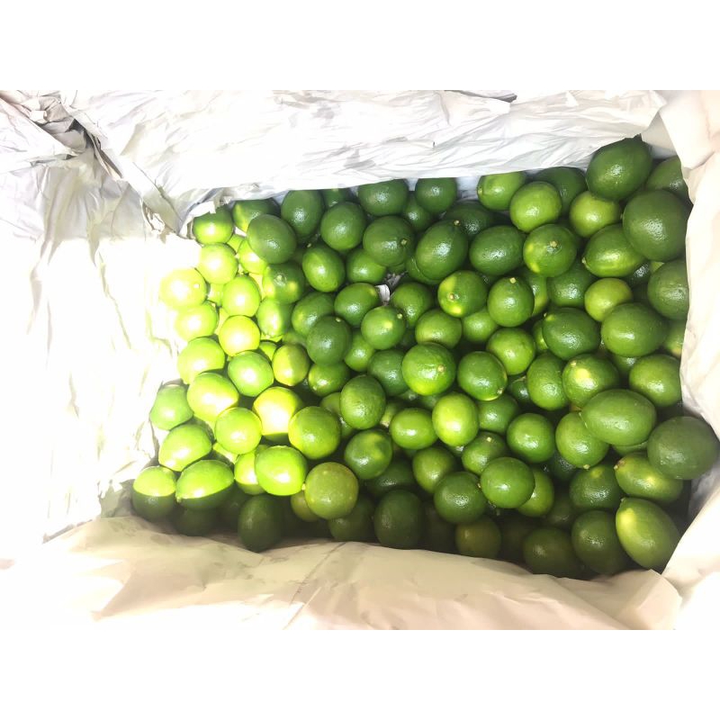 

Lemon California hijau 1kg
