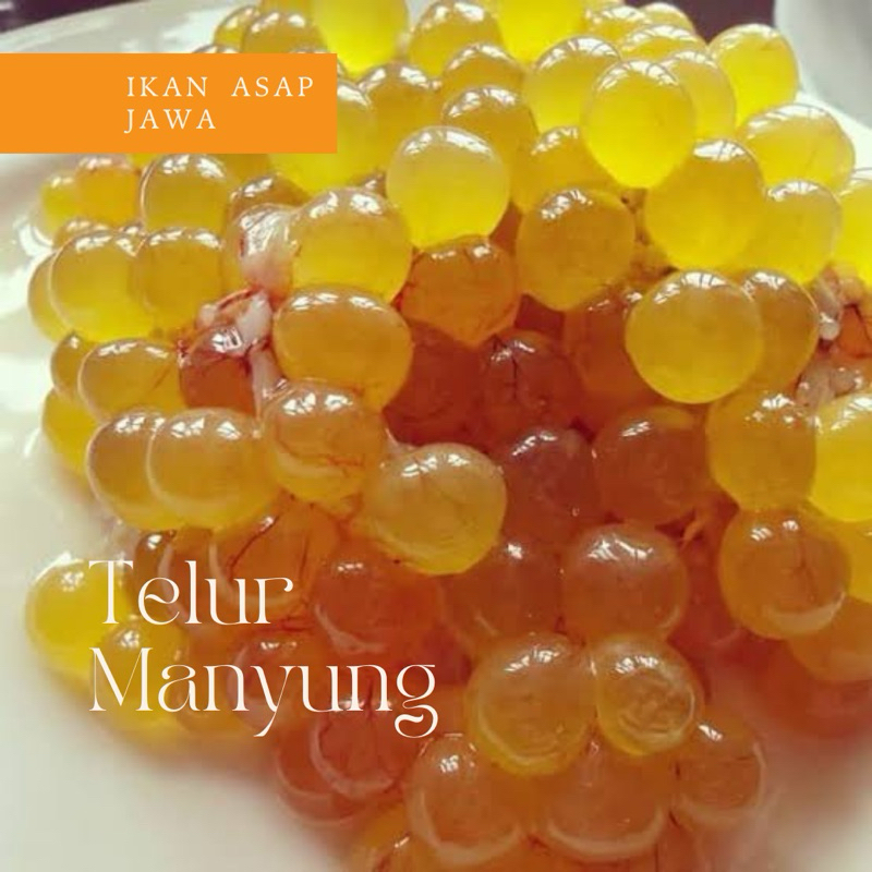 

Telur Manyung Ikan Asap Jawa