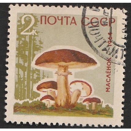 

A 11807 SATU BUAH PRANGKO TAHUN 1964 NOMINAL 2K TEMA FLORA JAMUR DENGAN KONDISI SUDAH ADA CAP