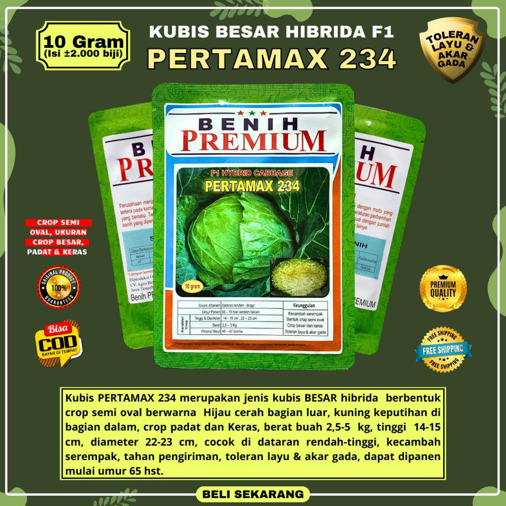 [ORIGINAL] Benih Kubis Jumbo PERTAMAX 234 (Pertumbuhan Maksimal) kemasan 10 gram | Setipe Green Nova