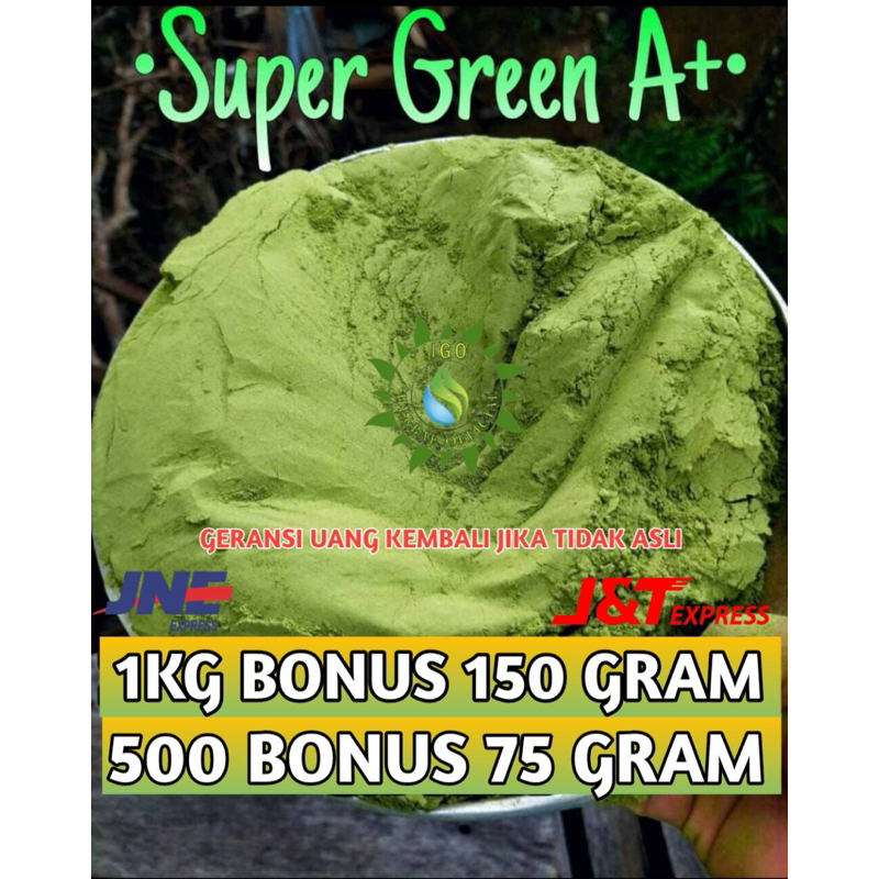 

MITRA HERBAL BUBUK HIJAU DAUN PURLI ASLI KALIMANTAN 1KG BONUS 150GRAM