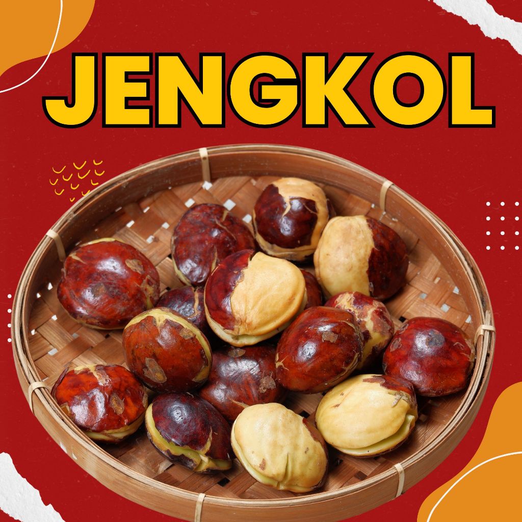 

JENGKOL / 1 KG